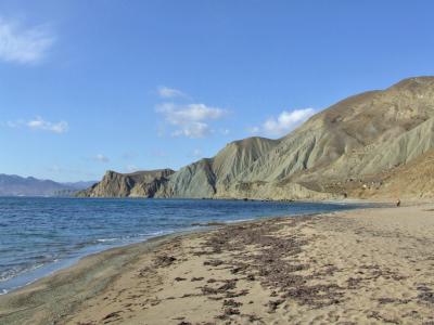 Прикрепленное изображение: DSCF6170.jpg